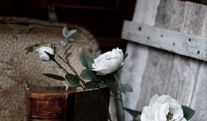 Preview wallpaper roses, flowers, book, vintage, aesthetics