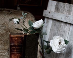 Preview wallpaper roses, flowers, book, vintage, aesthetics