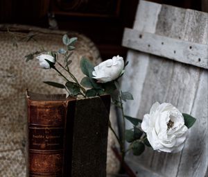 Preview wallpaper roses, flowers, book, vintage, aesthetics