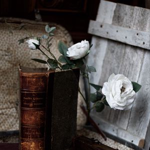 Preview wallpaper roses, flowers, book, vintage, aesthetics