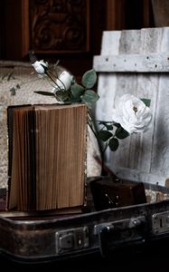 Preview wallpaper roses, flowers, book, old, aesthetics