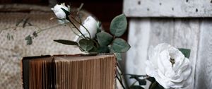 Preview wallpaper roses, flowers, book, old, aesthetics