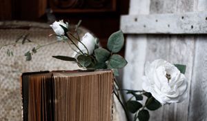 Preview wallpaper roses, flowers, book, old, aesthetics