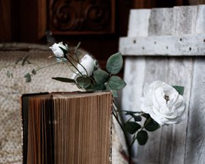 Preview wallpaper roses, flowers, book, old, aesthetics