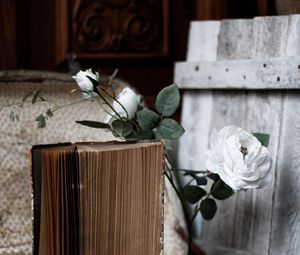 Preview wallpaper roses, flowers, book, old, aesthetics