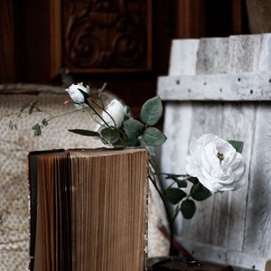 Preview wallpaper roses, flowers, book, old, aesthetics