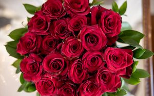 Wallpaper roses, flowers, bouquet, delicate, buds hd, picture, image
