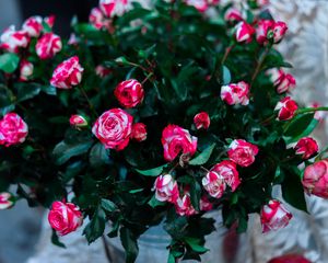 Preview wallpaper roses, flowers, bouquet, pink