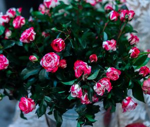 Preview wallpaper roses, flowers, bouquet, pink