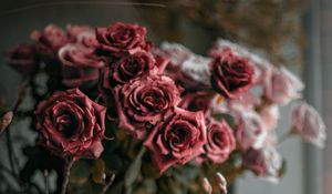 Preview wallpaper roses, flowers, bouquet, red, pink