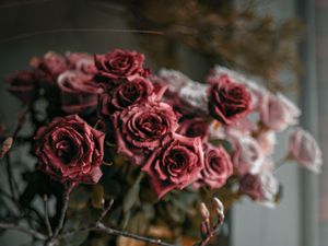 Preview wallpaper roses, flowers, bouquet, red, pink
