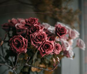 Preview wallpaper roses, flowers, bouquet, red, pink