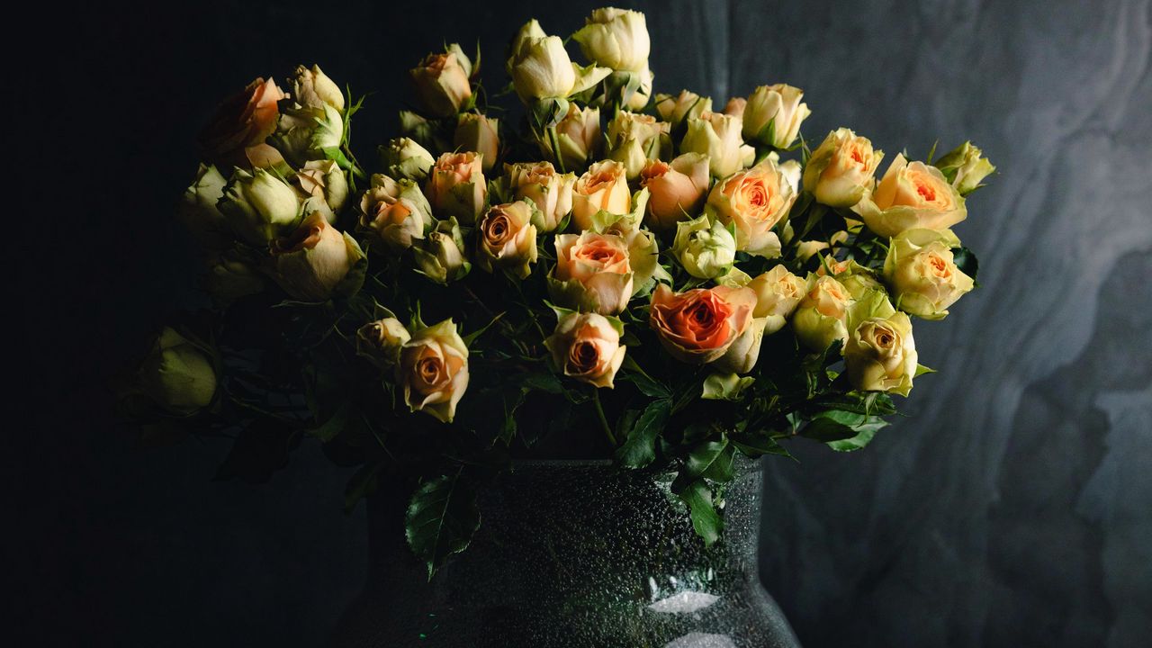 Wallpaper roses, flowers, bouquet, vase, dark