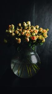 Preview wallpaper roses, flowers, bouquet, vase, dark