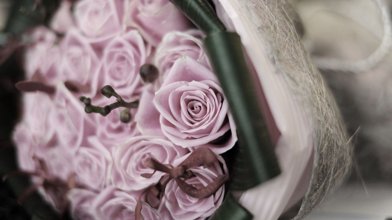 Wallpaper roses, flowers, bouquet, branch, blurring