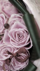 Preview wallpaper roses, flowers, bouquet, branch, blurring