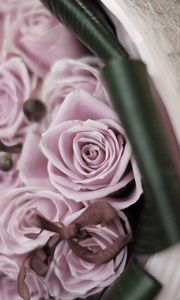 Preview wallpaper roses, flowers, bouquet, branch, blurring