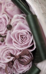 Preview wallpaper roses, flowers, bouquet, branch, blurring