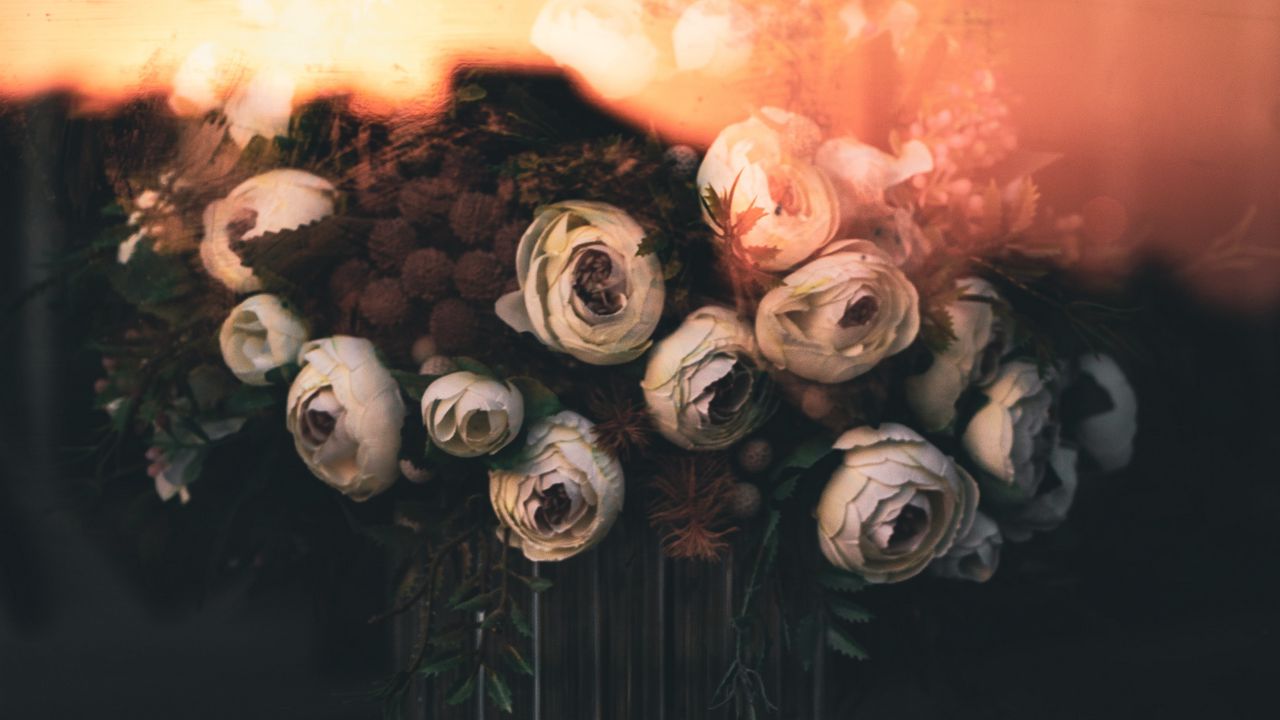 Wallpaper roses, flowers, bouquet, light