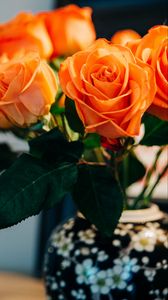 Preview wallpaper roses, flowers, bouquet, orange