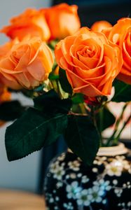 Preview wallpaper roses, flowers, bouquet, orange