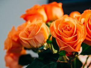 Preview wallpaper roses, flowers, bouquet, orange