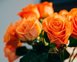 Preview wallpaper roses, flowers, bouquet, orange