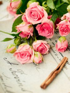 Preview wallpaper roses, flowers, bouquet, letter, cinnamon