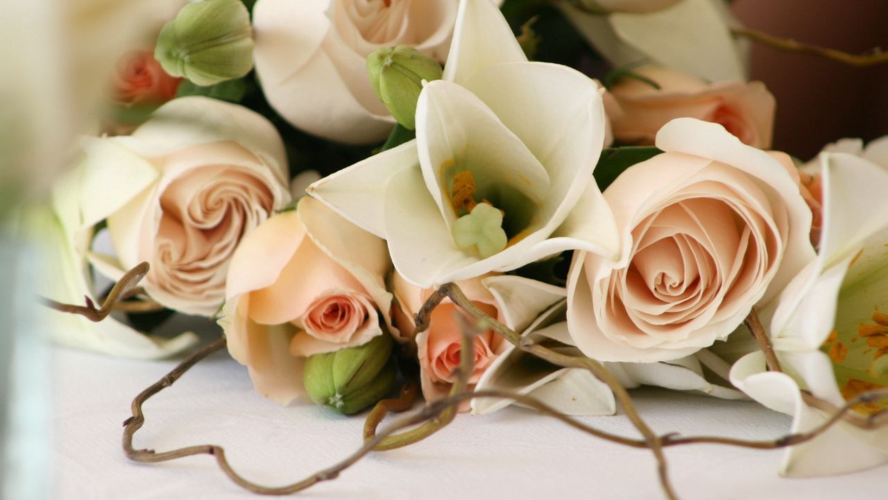 Wallpaper roses, flowers, bouquet, romance, branch, tenderness