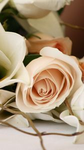 Preview wallpaper roses, flowers, bouquet, romance, branch, tenderness