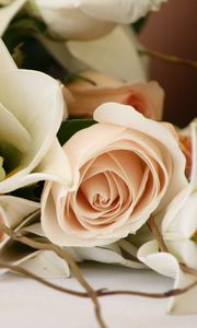 Preview wallpaper roses, flowers, bouquet, romance, branch, tenderness