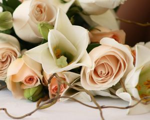 Preview wallpaper roses, flowers, bouquet, romance, branch, tenderness