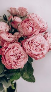 Preview wallpaper roses, flowers, bouquet, pink, composition