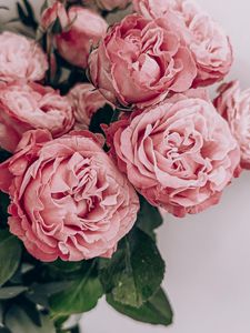 Preview wallpaper roses, flowers, bouquet, pink, composition