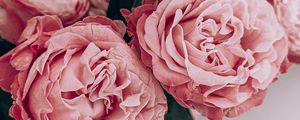 Preview wallpaper roses, flowers, bouquet, pink, composition