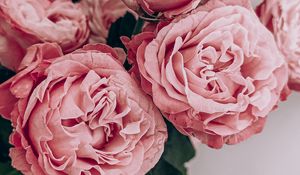 Preview wallpaper roses, flowers, bouquet, pink, composition