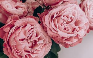 Preview wallpaper roses, flowers, bouquet, pink, composition