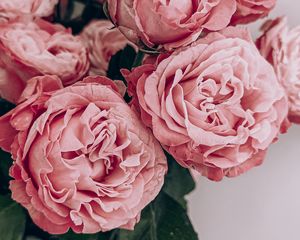 Preview wallpaper roses, flowers, bouquet, pink, composition