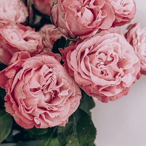 Preview wallpaper roses, flowers, bouquet, pink, composition