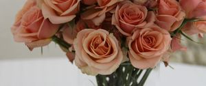 Preview wallpaper roses, flowers, bouquet, vase, candy