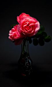 Preview wallpaper roses, flowers, bouquet, vase, pink