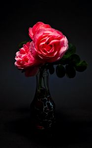 Preview wallpaper roses, flowers, bouquet, vase, pink