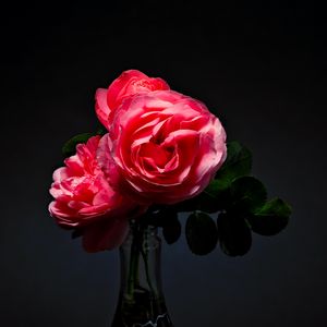 Preview wallpaper roses, flowers, bouquet, vase, pink