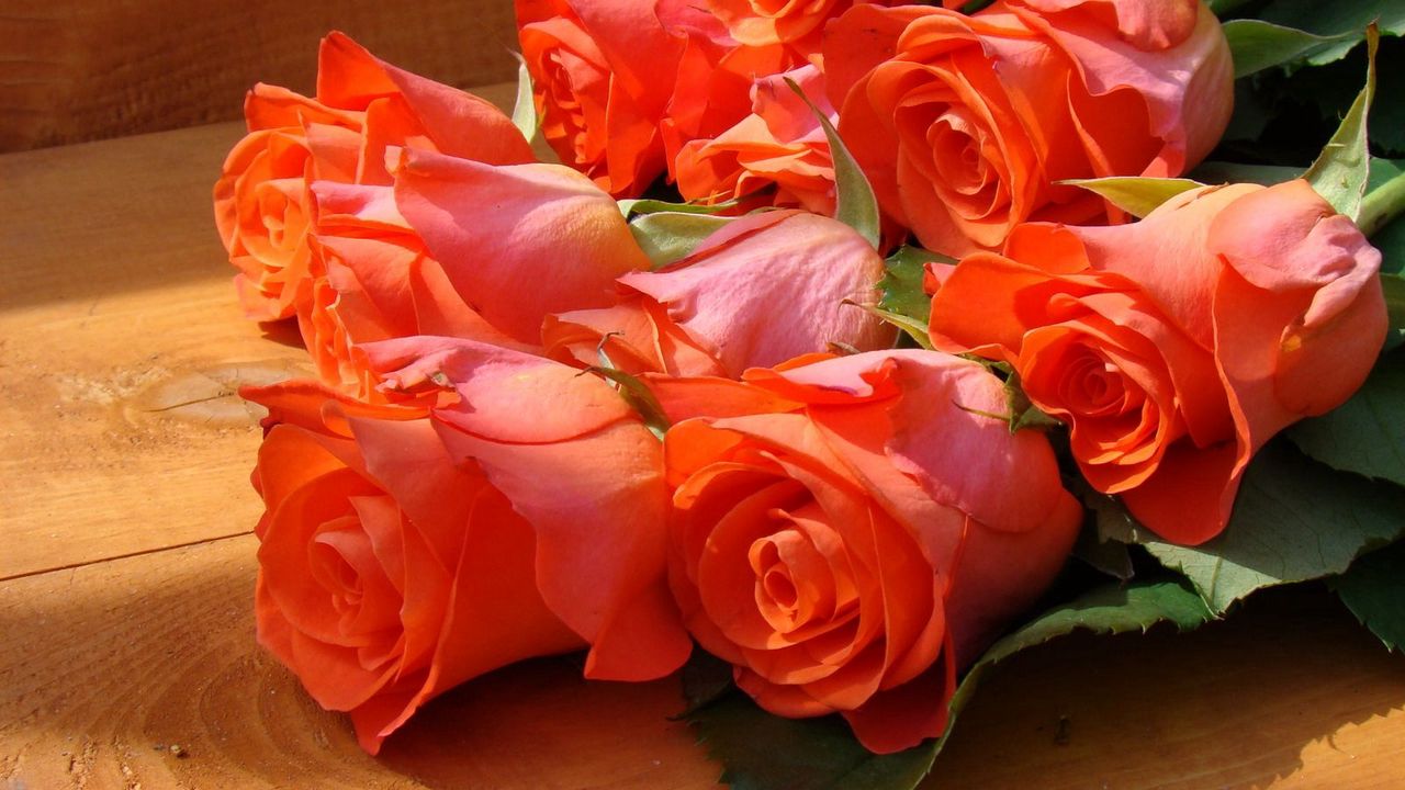 Wallpaper roses, flowers, bouquet, bench, beauty