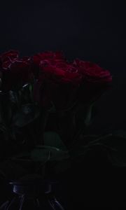 Preview wallpaper roses, flowers, bouquet, dark