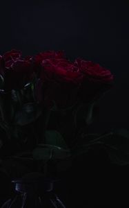 Preview wallpaper roses, flowers, bouquet, dark