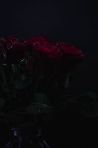 Preview wallpaper roses, flowers, bouquet, dark