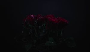 Preview wallpaper roses, flowers, bouquet, dark