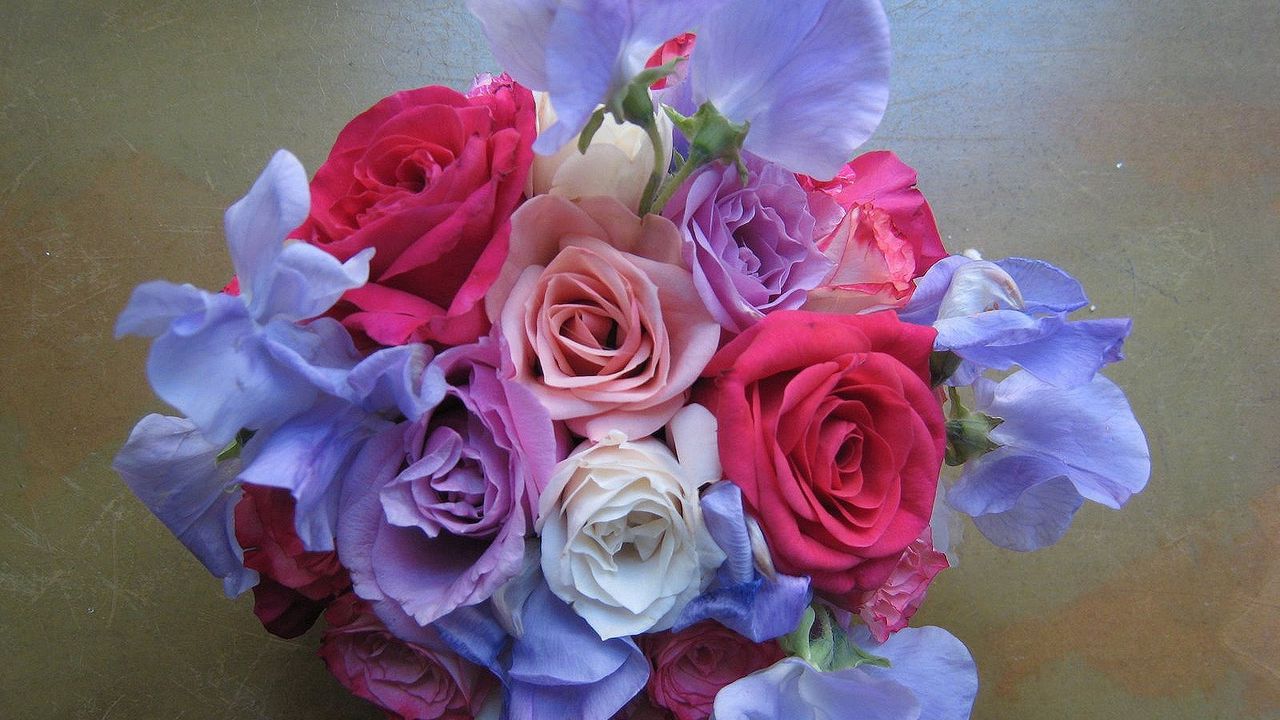 Wallpaper roses, flowers, bouquet, buds