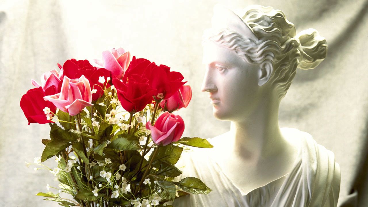 Wallpaper roses, flowers, bouquet, vase, bust